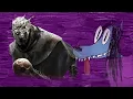Everything about Dead by Daylight The Wraith - DorkFox