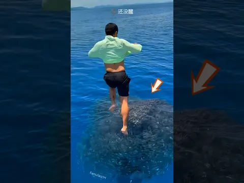 Jumped among the fishes 😲