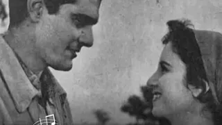 ورده عمري ما شفت حاله واتس اب 