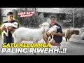 Lagu PERTAMA KALI AJAK BAYI DOMBA KELILING..! LANGSUNG NGACIRR..!!
