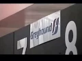 RDMVTL 4393 2002 BUFFALO NY GREYHOUND STATION 1998 MEMORY