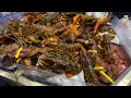 H Mart Irvine Westpark HMART Lobster