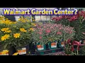 Walmart Garden Center - A Good Option Plants Pots Garden Deals