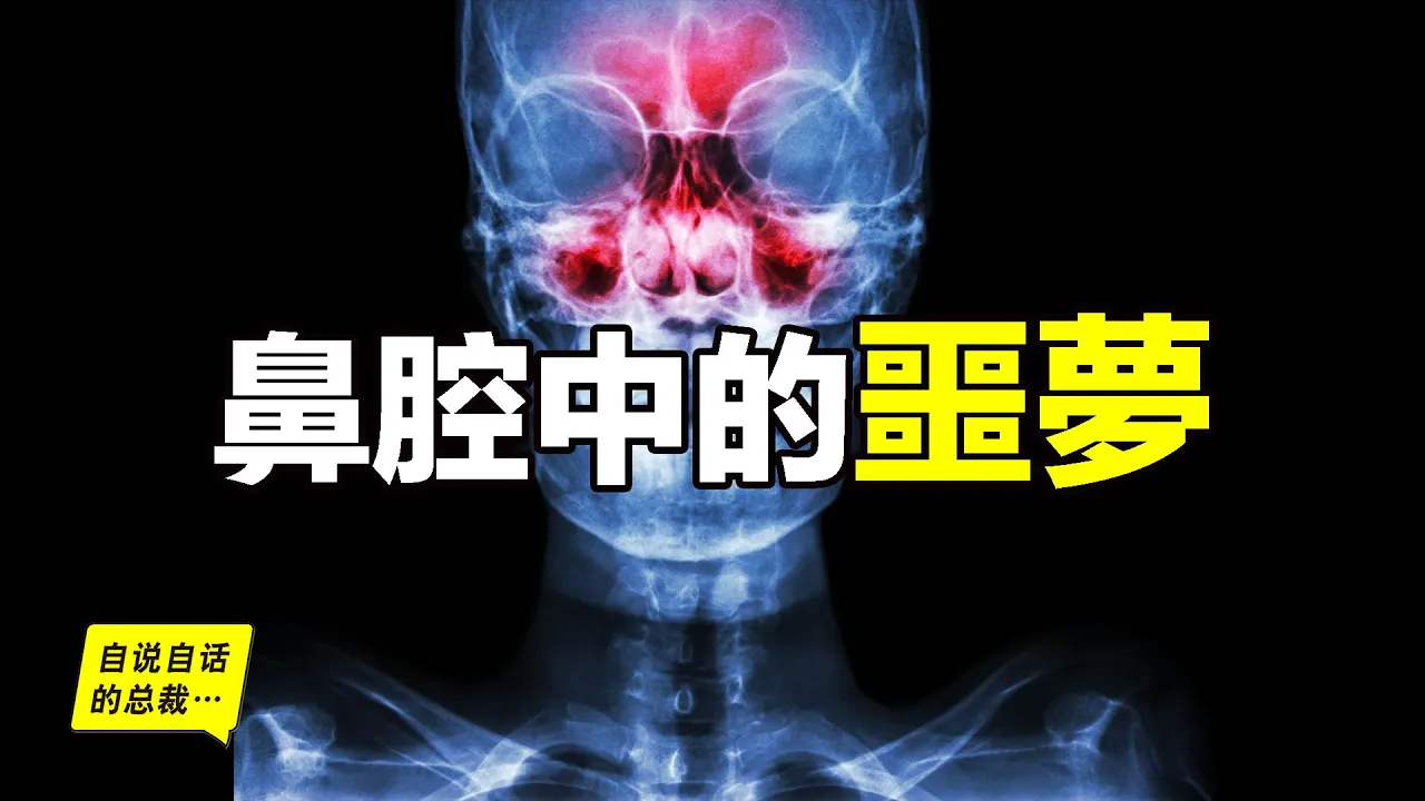 過敏性鼻炎:又是一年鼻炎季,全球7億人的痛苦,究竟怎麼破……|自說自話的總裁