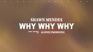 Shawn Mendes Why Why Why Lyrics 