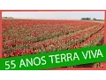 Download Lagu Somos Terra Viva Há 55 Anos