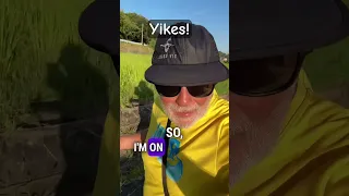 Back on Land and Facing the Scale: Yikes #boatlife #sunrise #fitness