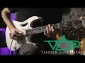 Download Lagu Steve Vai - Tender Surrender - Guitar Cover