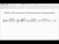 Motivic Development Diminution and Augmentation