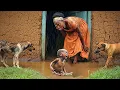 Download Lagu Lonely Woman Takes In UGLY Abandoned Child… Years Later, The Father Returns With...