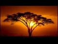 Dj Qness feat. Nomalungelo - Imiyalo (DJ Tea Point 5 Remix)