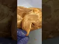Mink Muscle Dissection Group 8