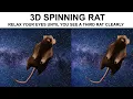 3D Stereogram Illusion Spinning Rat 4K 60FPS Protip The smaller the the easier it is to do