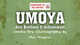 afro brotherz umoya ft indlovukazi cardio box choreography by mzi mnyazi warm up track