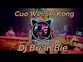Download Lagu Cuo Wei Shi Kong 错位时空 Remix By Dj Brian Bie