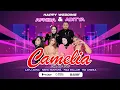 Lagu LIVE CAMELIA MUSIK - WEDDING PARTY ADITYA \u0026 AFNIDA - MOJO CLUWAK PATI | BIMA AUDIO