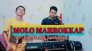 Download MOLO MARROKKAP CIPT FREDDY TAMBUNAN COVER RONALDO SITUMORANG MP3