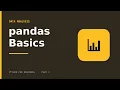 pandas for Beginners Load Inspect Filter Analyze Data Fast