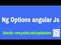 Ng Options angular Js