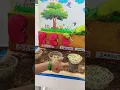 seed germination germination project project