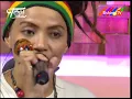 Nath The Lions - Pale Moonlight (Cover) // Teras Sore