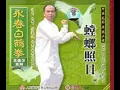 Download Lagu Mantis in Sunlight. Fukien Wing Chun White Crane Style (Part 1)
