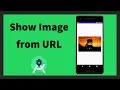 Show Image from Url in android app Picasso Android Studio