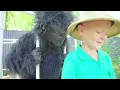 Zoonomaly from birth to death! Zookeeper and Banbaleena became a couple in love!