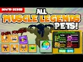 All Muscle Legends Pets Robux Pets As Well Roblox Muscle Legends