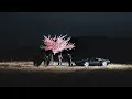 ROZ Peso Pluma - DAYTONA