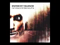 Enter My Silence - Irrelevant
