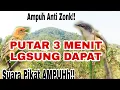Download Lagu Anti Gagal|Suara Pikat Burung Salome VS Ciblek Tebu Ribut @ObonKuy7