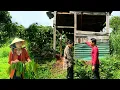 Download Lagu The girl was helped by a kind man to find a new place to live. Will her new life be better?