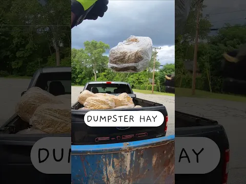 I filled my whole truck with Hay trash dumpster diving! #dumpsterdiving
