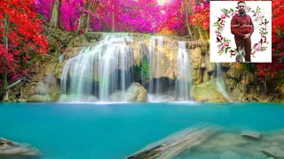 ياريت إللي جري ماكان 