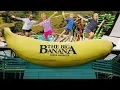 Download Lagu We Visited The Big Banana Fun Park in Coffs Harbour Australia #funpark