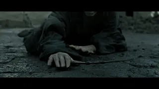 Death of Nagini and Lord Voldemort Harry Potter and the Deathly Hallows 2