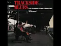 Ride with Your Daddy Tonight (feat. Peter Green) (feat. Peter Green) - The Brunning Sunflower Band