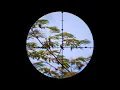 Download Lagu BERBURU BURUNG HUTAN #menembak #tembak #berburu #senapanangin #burung #paser #mimis #babihutan