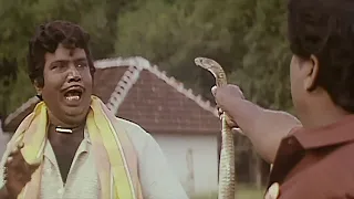 goundamani senthil comedy tamil best comedy scene tamil megahit comedy rajakumaran