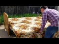 Antique Jenny Lind Foldout Bed