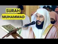 Surah Muhammad || Abdul Rahman Al Ossi || Tilawat e Quran || Everyday Islam