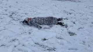 أنا وشادي   فيروز أنا وشادي دندنها