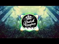 DUTCH KINGDOM - TRIPOEL (ORIGINAL MIX)