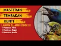 MASTERAN PLECI - SOGON - KONIN - KOWUL- KINOI TEMBAKAN KUNTILANAK #masteranburung
