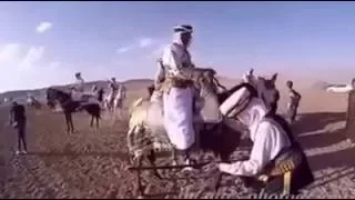View Equestrian Song منك ملامة 