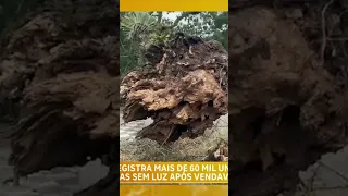 Vendaval deixa mais de 60 mil unidades sem luz em Blumenau, SC #scnoar