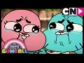 Lagu Gumball | Kwaliteitstijd met je broer/zus | De Pony | Cartoon Network