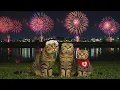 Download Lagu 【AI Cat】初めての家族旅行、川辺で見た大きな花火と小さな幸せ【癒し】【家族】