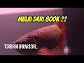 Download Lagu T3RRRMURM33RR... DARI B00 K....